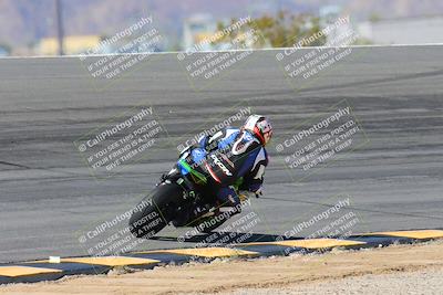 media/Feb-04-2024-SoCal Trackdays (Sun) [[91d6515b1d]]/4-Bowl Backside (11am)/